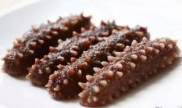 海参爆料原神视频大全,原神视频大全深度解析